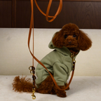 Seamlessly merging premium walking hardware with everyday loungewear. A small brown maltipoo models a muted green hooded jacket secured by a rich leather leash.