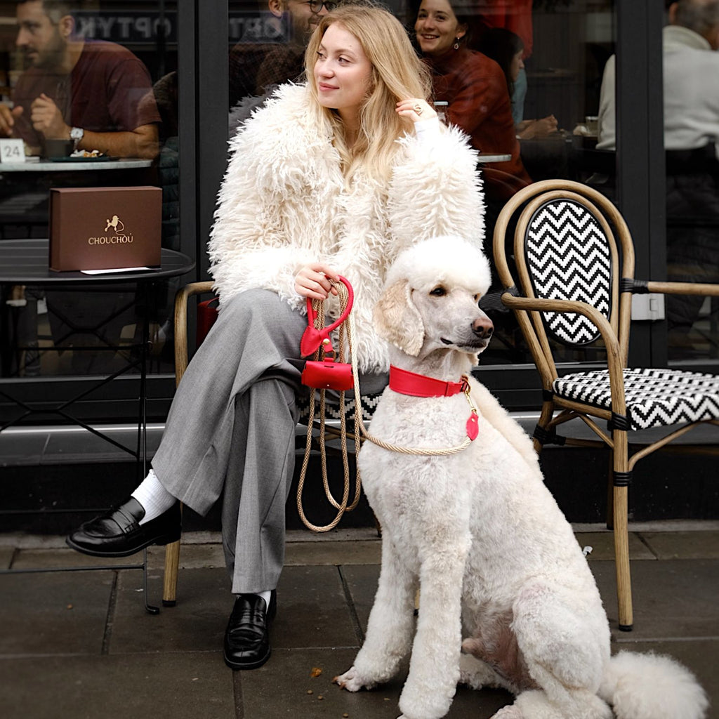 Elegant standard white poodle wearing premium red leather dog accessories by CacheMio & CHOUCHOÚ, sitting next to its owner at a European city cafe.
