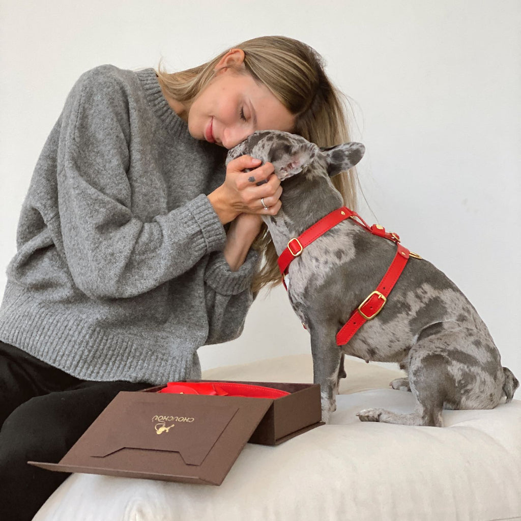 Woman affectionately hugging her blue merle French Bulldog wearing the CacheMio & CHOUCHOÚ red premium leather harness, showcasing the human-canine bond.
