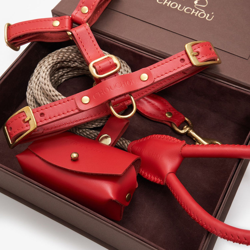 Close-up of the premium red leather dog harness and rope leash by CacheMio & CHOUCHOÚ, highlighting the solid brass hardware and meticulous stitching.