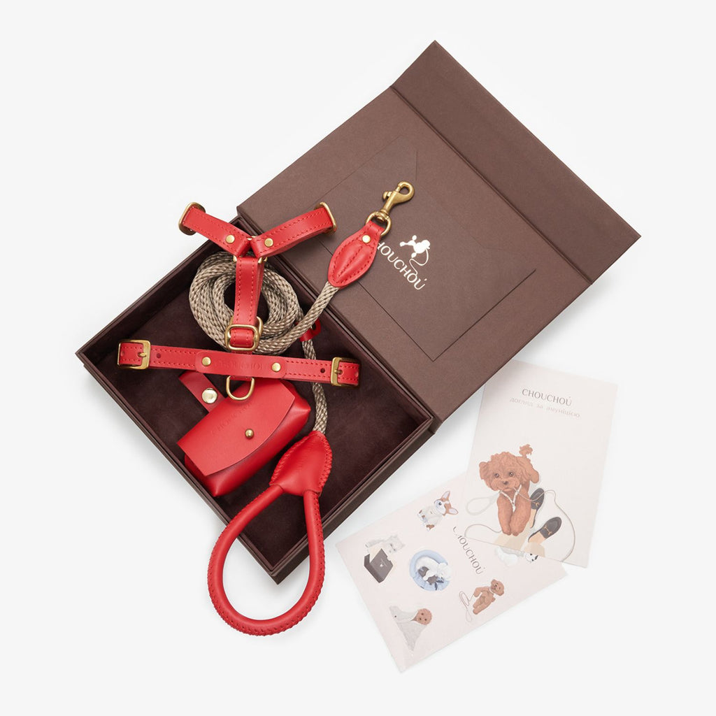Top-down view of the luxurious red Italian leather dog walking set by CacheMio & CHOUCHOÚ, beautifully presented in a premium gift box with care cards.