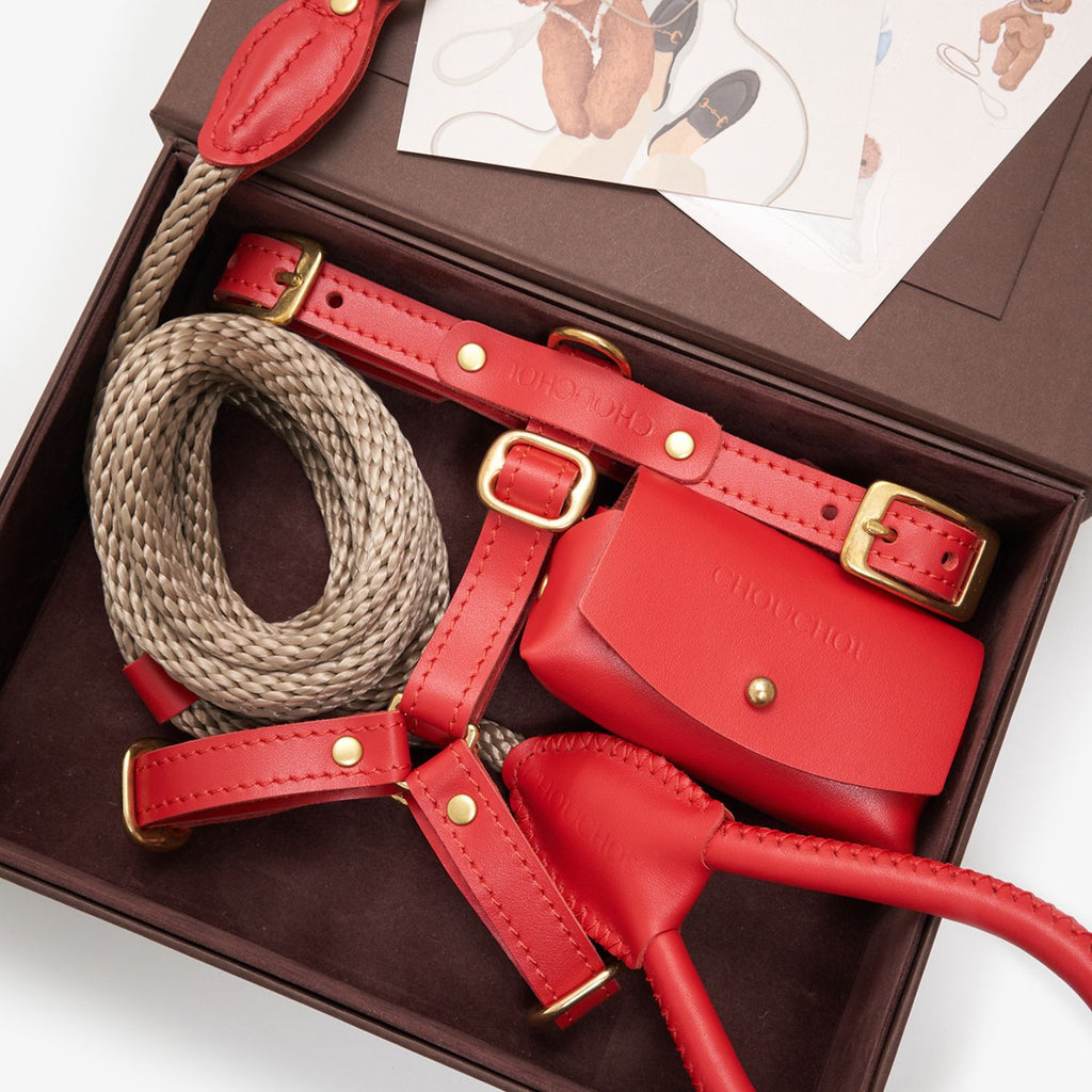 Red premium leather dog harness, rope leash, and waste bag holder by CacheMio & CHOUCHOÚ, elegantly resting inside a signature magnetic gift box.