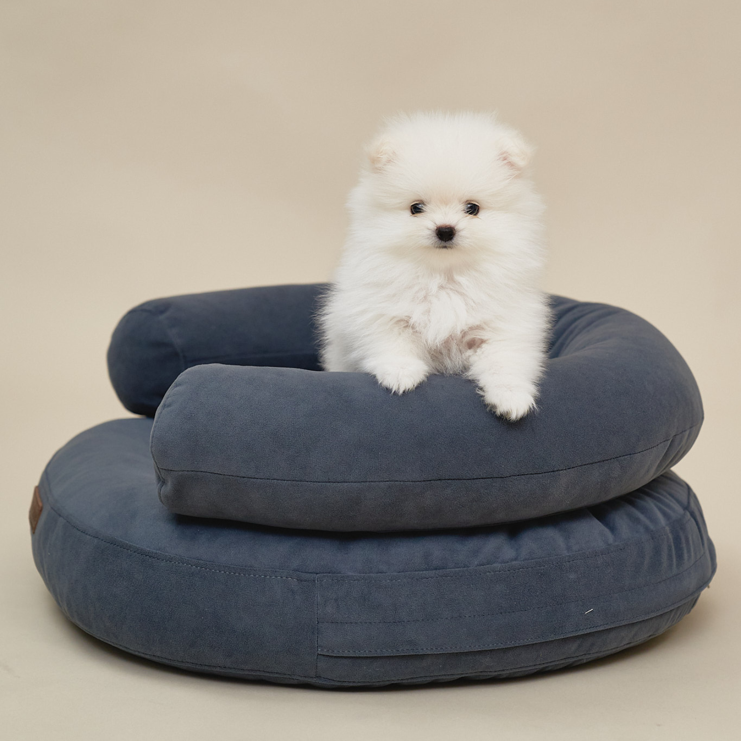 An attentive fluffy white Pomeranian sits confidently atop the folded charcoal bolster elements, demonstrating the structural density of the CacheMio design.