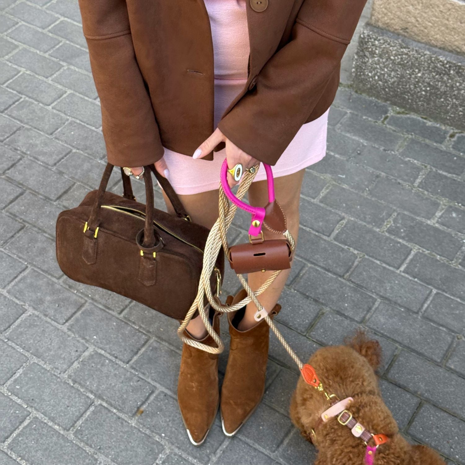 Suede boots and a dynamic rope leash frame the pavement exploration of a maltipoo outfitted in the expressive Chromatique gear.