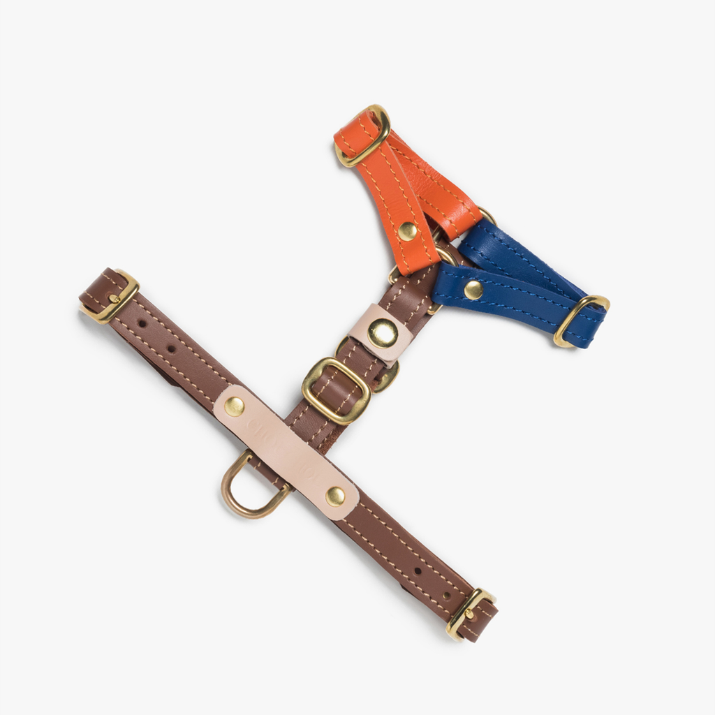Symmetrical frontal breastplate crafted from contrasting tangerine and pink hide, providing uncompromising tracheal protection for energetic walks.