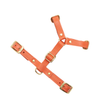 Symmetrical layout of the vibrant orange walking vest against a pure backdrop, revealing the heavy-duty six-point adjustment matrix.