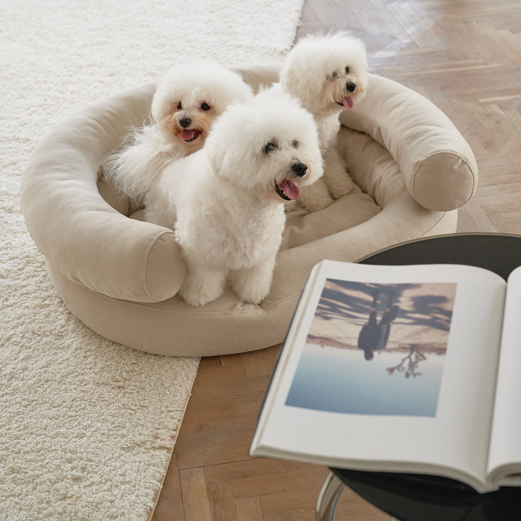 Harmonizing with wooden parquet floors, the neutral orthopedic bed accommodates three fluffy companions near a contemporary photo book.
