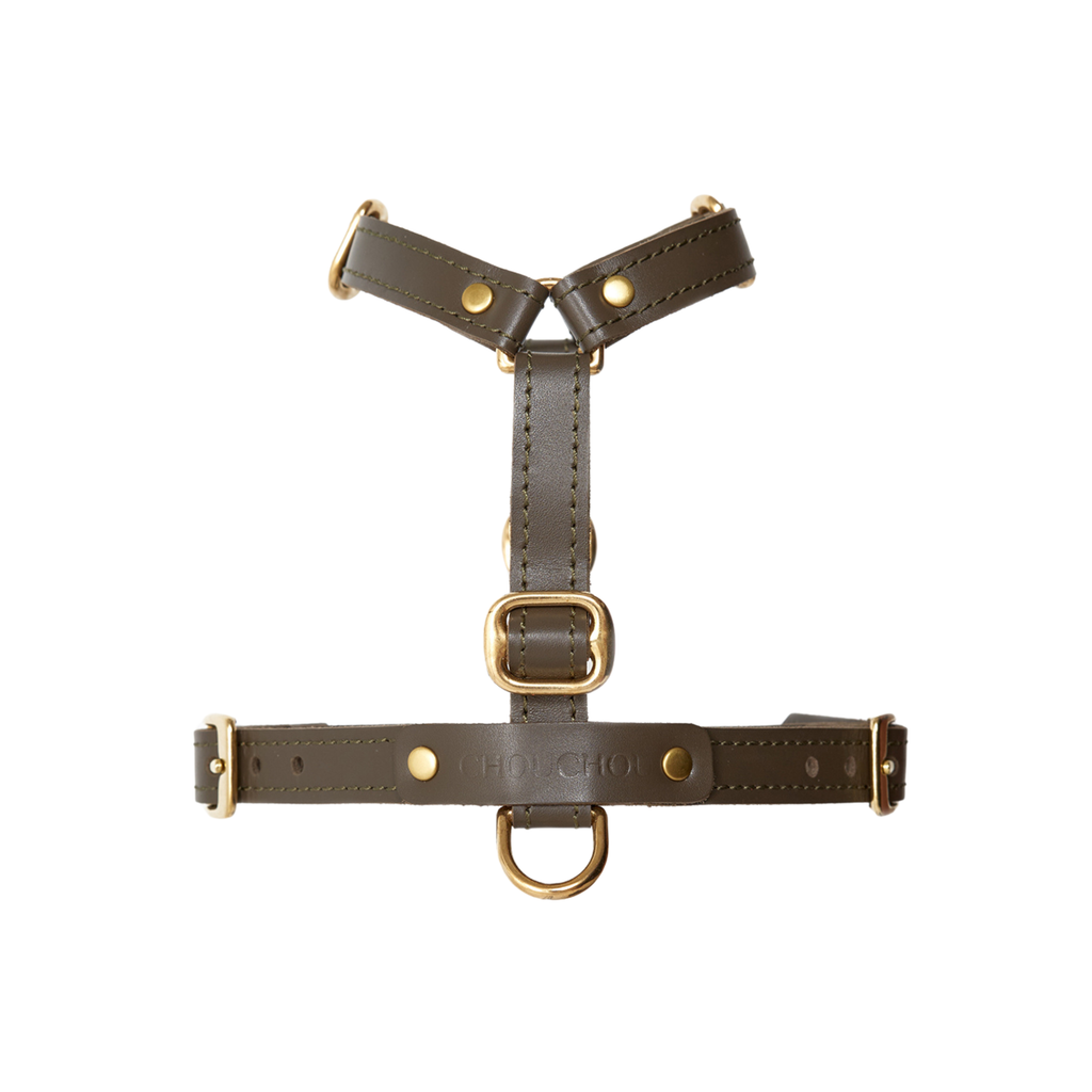 Premium forest-toned Italian leather showcases its robust multi-point adjustment matrix, tailored for secure outdoor excursions and urban walks.