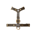 Premium forest-toned Italian leather showcases its robust multi-point adjustment matrix, tailored for secure outdoor excursions and urban walks.