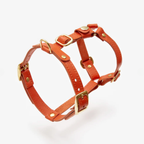 Isometric showcase of the sunset-toned canine chest piece, highlighting the robust brass hardware and kinetic Y-neck architecture.