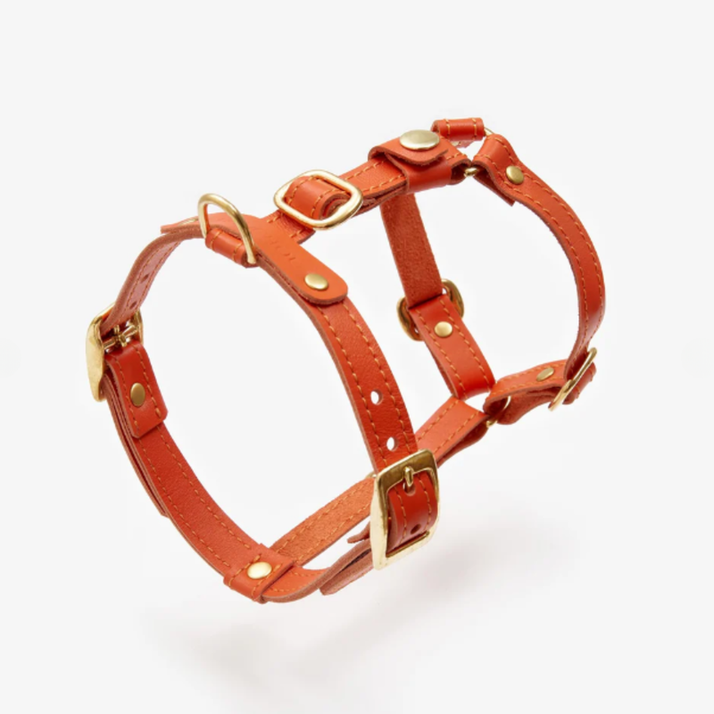 Anatomical Leather Dog Harness (Vibrant Orange) | CacheMio x CHOUCHOÚ