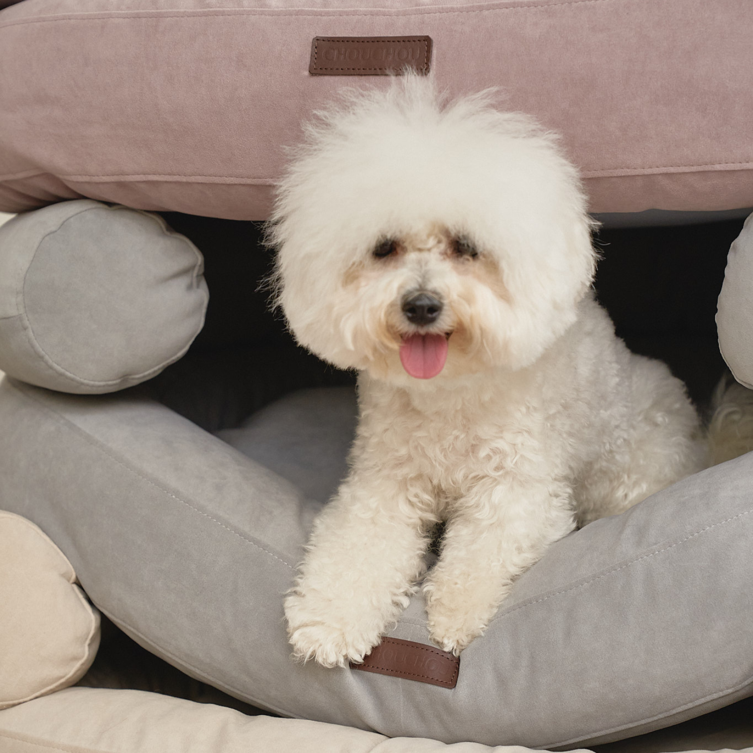 A fluffy white Bichon Frise peeks cheerfully from within the deep interior space, highlighting the cavernous comfort of the silver dog bed.