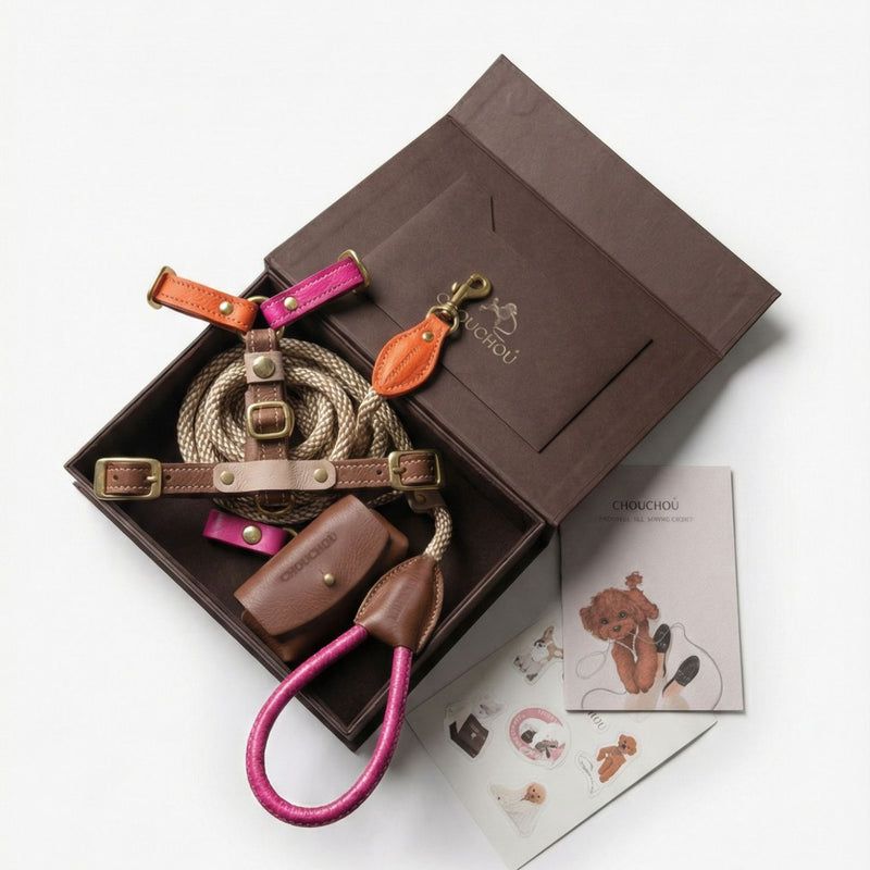 Avant-Garde Color-Block Walking Set (Chromatique)
