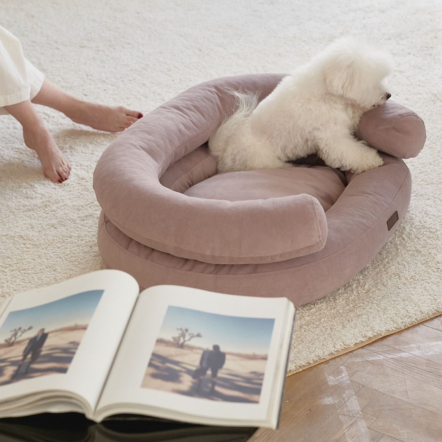 Cozy home aesthetic featuring a white Bichon Frise resting in the pink CHOUCHOÚ orthopedic dog bed next to an open book and its owner.